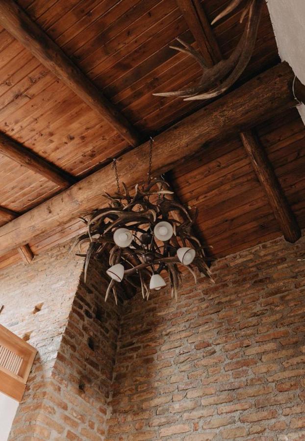 Honey Home Bistrita  Ngoại thất bức ảnh